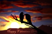 crowluv.jpg by Heather Schumacher (Nova)