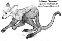 lookroo1.jpg by John Siemer (Spaceroo)