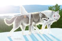 chennlucan_mark.jpg by Therese Larsson (Ailah)