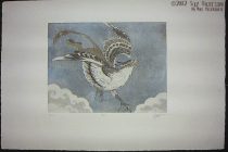 gryph-print2.jpg by Suz Bateson (Torrent)