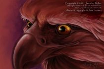 amouxnam.jpg by Jennifer Miller (Nambroth)