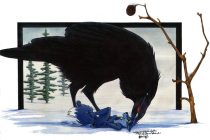 federvieh.jpg by Philipp Peteranderl (Silber)