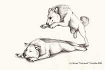 nosleep4engel.gif by L.N. Dornsife (Thornwolf)