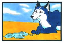 bbfhuskiedrool.jpg by Karsten Auchter (BigBlueFox)
