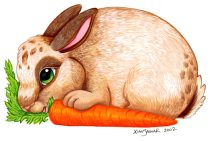 bunnytcm.jpg by XianJaguar