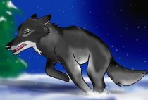 aisling4.jpg by Audrey Walker (KrazyKlaws, WolfDreamer)
