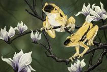 altfrog2.jpg by Ursula Vernon