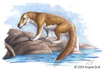 pakicetus.jpg by Angela Butt (Yelth)