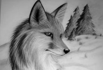 fcfox.jpg by Crystal Gafford (Kittrel)