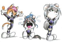 sdteamv.jpg by Silas Zee (Springer)