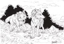 desshoom.jpg by Claire Hummel (Shoom'lah)