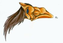 catlay.jpg by TAC (Skychaser)