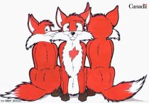 bbfcanada.jpg by Karsten Auchter (BigBlueFox)