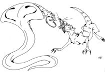 rikki.jpg by Margaret Petrie (Nduli)