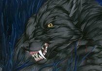 bisc.jpg by Margaret Petrie (Nduli)