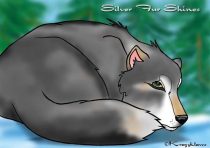 silver.jpg by Audrey Walker (KrazyKlaws, WolfDreamer)