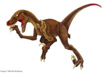 neo_raptor1.jpg by Kim Koskamp (Neogeen)