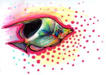 angelfish.jpg by Kelly Peters (Terzy, Sabine)