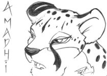 amadhi_conifur04.jpg by Timothy Albee (Amadhi)