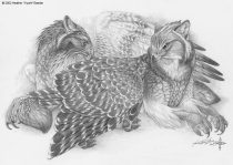 preen.jpg by Heather Luterman (Kyoht)