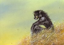 fieldsofgold.jpg by Tess Garman (Kenket)