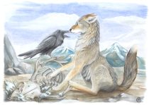 trkenket.jpg by Olven (Olven)
