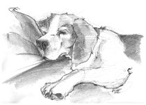 hattie2.jpg by Mary Minch