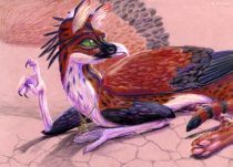 mynarix.jpg by Susan Morgan (DeNonikus, Shoes, Chasmosaur)