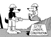 samconst.gif by Thomas K. Dye (Kevin J. Dog)