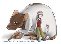 namicon.jpg by Kyla Martin-Van (Silver, Silver Otter)