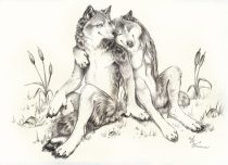 crush.jpg by L.N. Dornsife (Thornwolf)