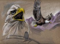 eaglemcg.jpg by Heather Schumacher (Nova)