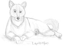 phelan.jpg by Gloria Higginbottom (Twap, Snitter)