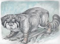 pcat.jpg by Cara Mitten