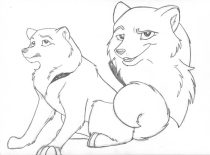 atgus.jpg by Audrey Walker (KrazyKlaws, WolfDreamer)