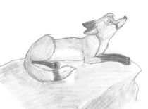 erinlk.jpg by Gloria Higginbottom (Twap, Snitter)