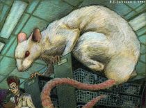 bigrat.jpg by Barclay Johnson (Bigfella Machine)