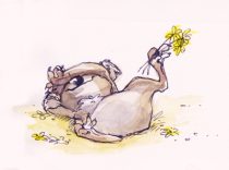 koala_bliss.jpg by Lissa B. Treiman (Koosh-llama)