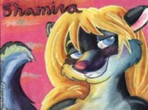sham2a.jpg by Erika Leigh Rosengarten (Chilly Mouse Mousie)
