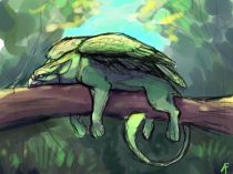 likeshine.jpg by Amy Fennell (Lyosha)