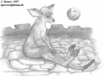aloneroo.jpg by John Siemer (Spaceroo)