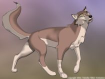 cellshade_w03c.jpg by Timothy Albee (Amadhi)