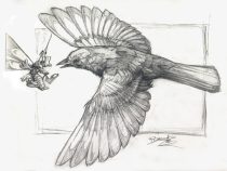 bugbird.jpg by Eric Blumrich (Mr. Ploppy)