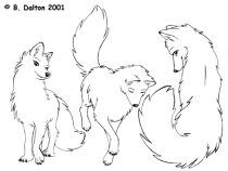 articfox.gif by Brady Dalton