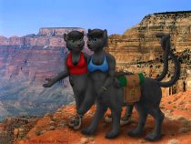 at_the_canyon-yerfy.jpg by Bernard Doove (Chakat Goldfur)
