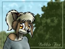 bobbiefx.jpg by Shawn Leedy (Mason)