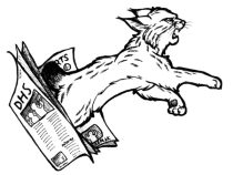 em-newsp.jpg by Erin Middendorf (Dingbat)
