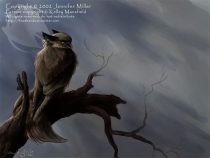 duskyday.jpg by Jennifer Miller (Nambroth)