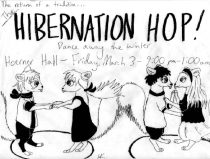 hop.jpg by Heather Fieldhouse (BunnyHugger, Ringo)