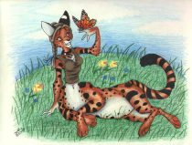 serval.jpg by Sandra Gaeremynck (Sandy)